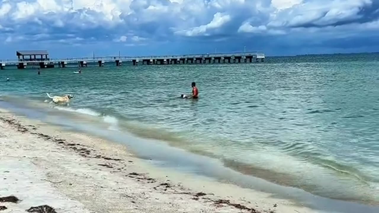 Hidden Gem in Florida (Fort Desoto Park St. Petersburg, Florida