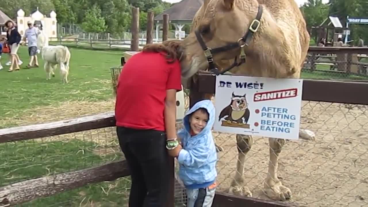 TRY NOT TO LAUGH _ Funny Babies At The Zoo - LAUGH TRIGGER. one part series