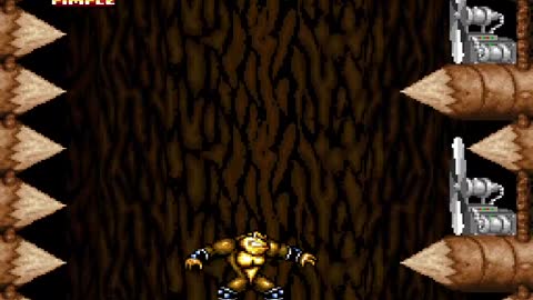 Battletoads in Battlemaniacs full game