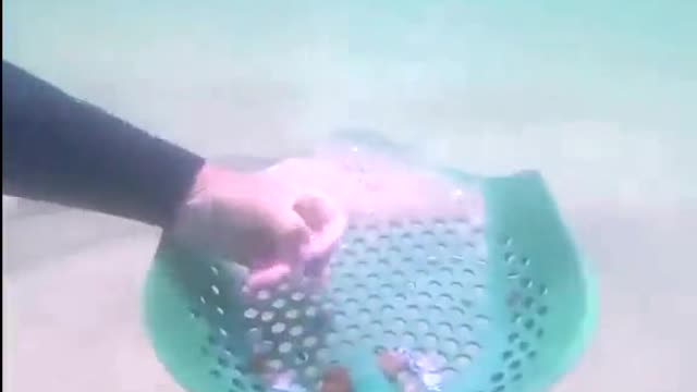 Clean up the underwater garbage and protect the marine natural environment.#7