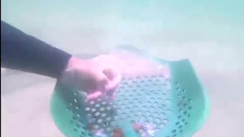 Clean up the underwater garbage and protect the marine natural environment.#7