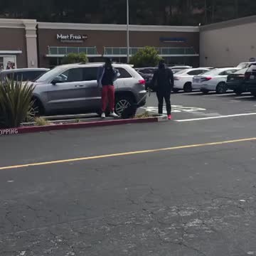 Koji the Rottweiler on the weekend