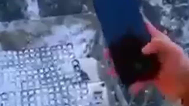 Universal sign for help me (call the police)