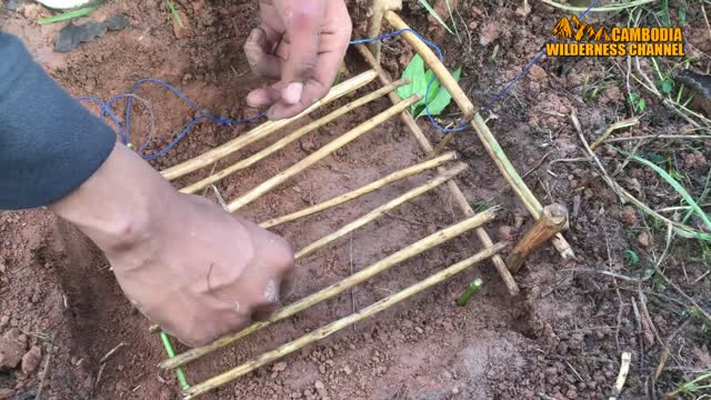 Amazing Quick Rabbit Trap in Cambodia - How To Make Rabbit Trap Easy - Best Rabbit Trap Homemade