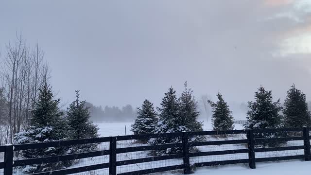 02.2020 Cleveland SNOW