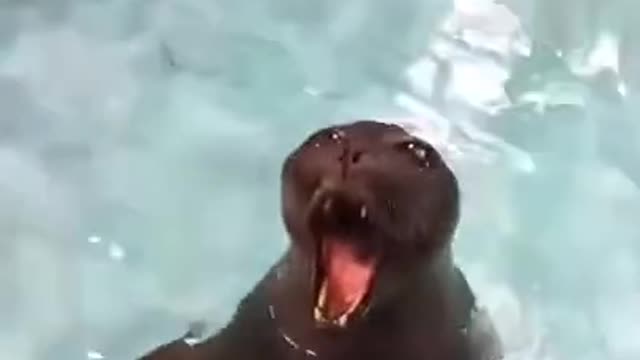 This seal is "POSSESSED"