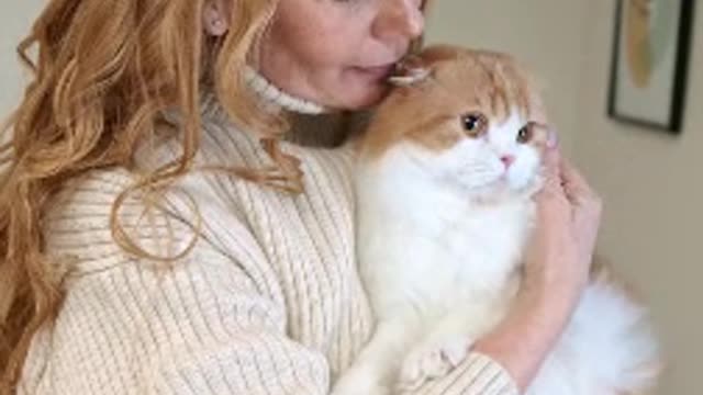 Cat love moment video 2022 - Cats Lover Girl - CatStore #3