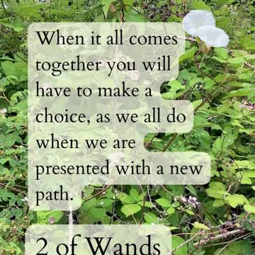 Tarot Readings From Nature. Magician's Quest.