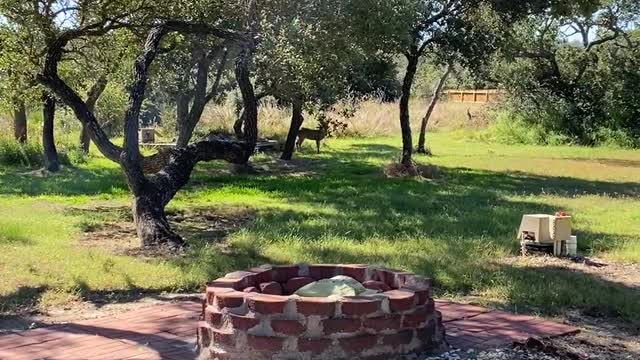 Big Buck at the Redneck Village