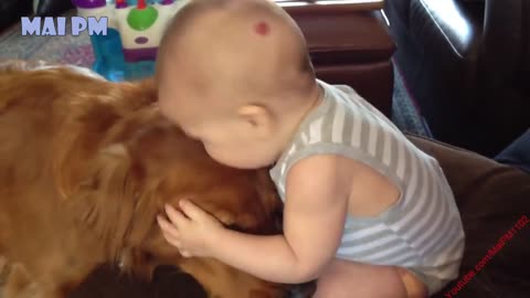 Dog and baby