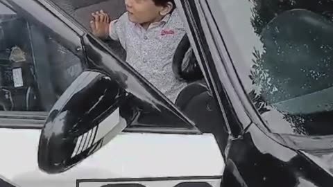 Civic playboy