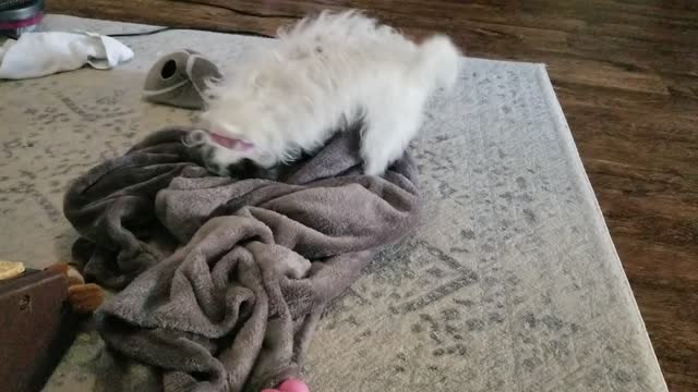 Milli does not like being clean!