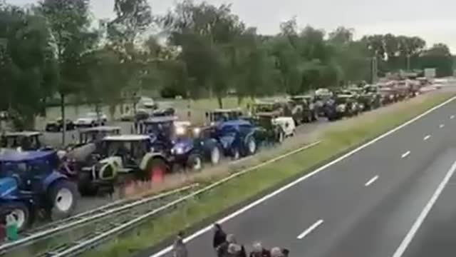 Dutch farmers convoy protests gov demands to reduce carbon use by 30%