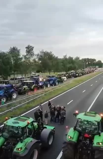Dutch farmers convoy protests gov demands to reduce carbon use by 30%