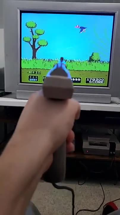 Duck Hunt