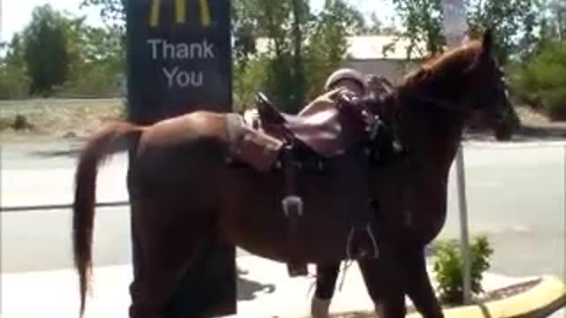 MCDONALDS ON HORSEBACK!