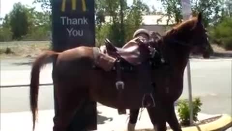 MCDONALDS ON HORSEBACK!