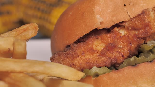 Chicken burger with french fries