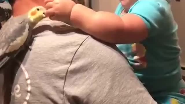 Baby cute videos Parrot love birds playing with baby