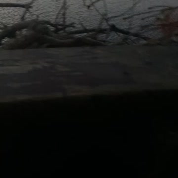 Enjoy the after hunt