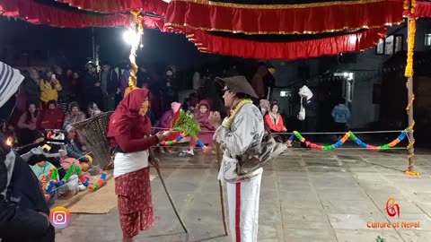 Nine, Buda Budi, Dabu Pyakha, Tekanpur, Chandragiri, Kathmandu, 2080