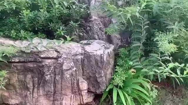 strange stone