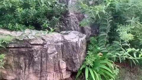 strange stone