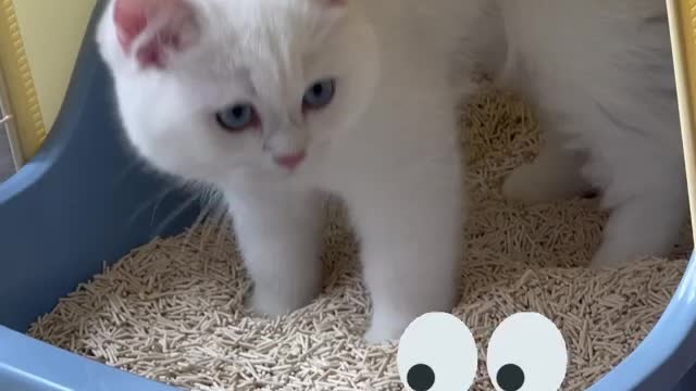 He was shocked at something he couldn’t see