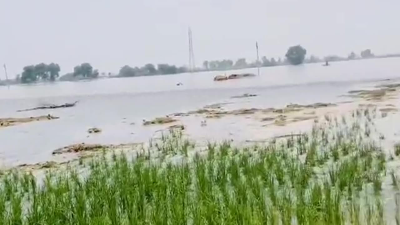 Satlag river in water 💦lavel up to out