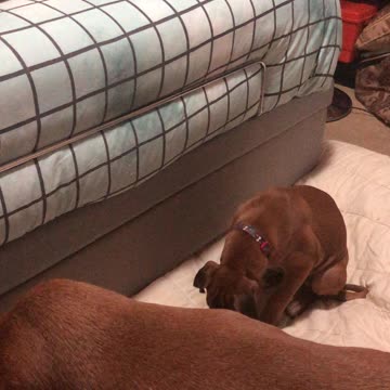 Wondering what that sound is I’m making!