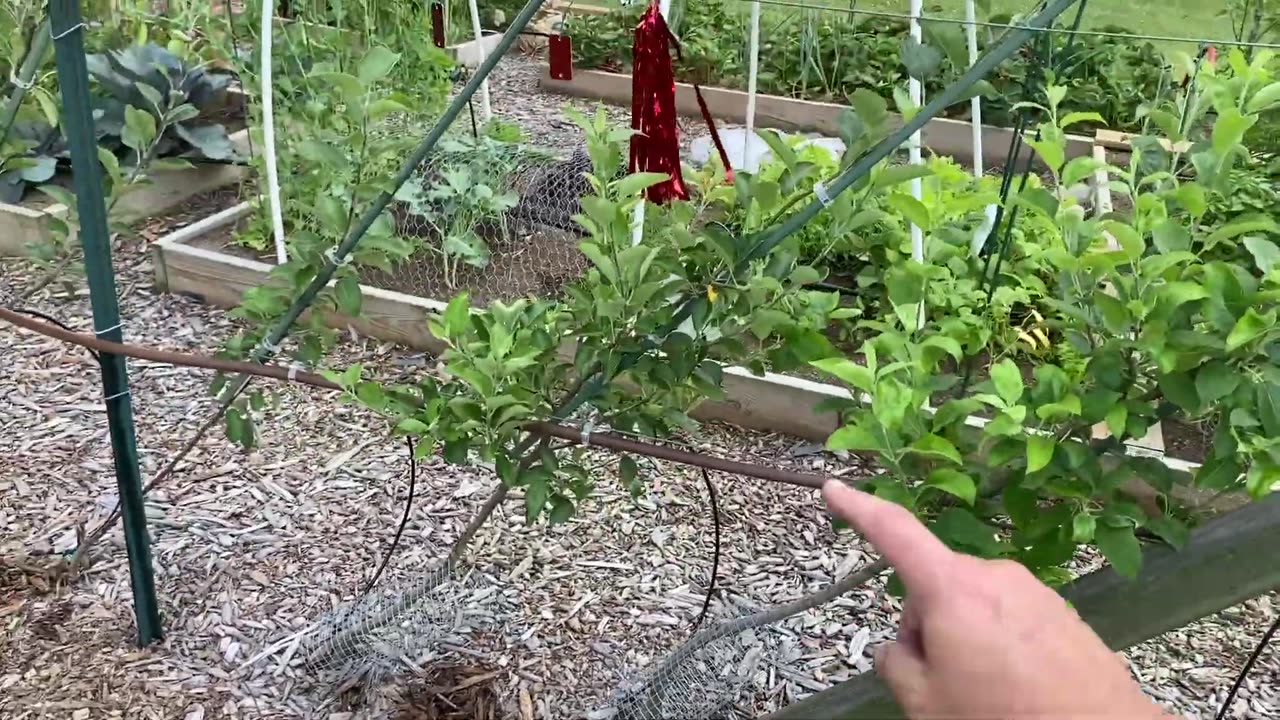 Raised Bed Micro Irrigation