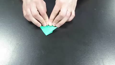 Origami Folding A Frog video