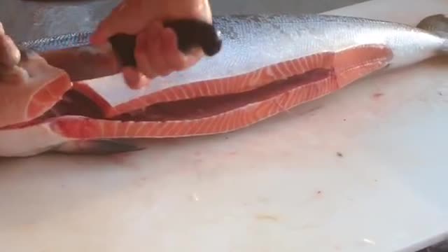 Fastest salmon cutter