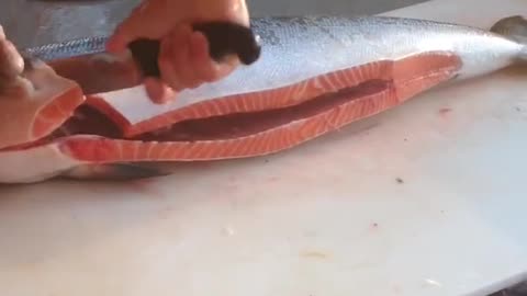 Fastest salmon cutter