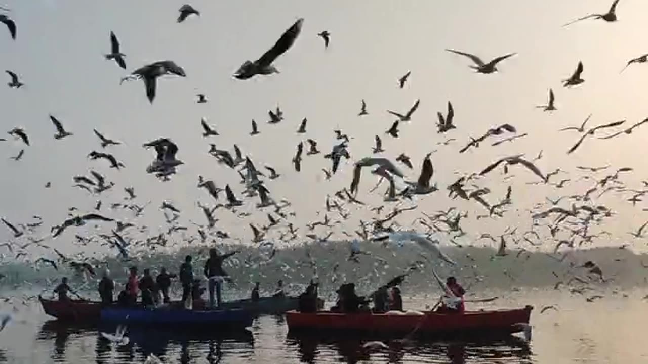 Best natural Sunrise video | Natural lover | Sunrise video | Natural sound