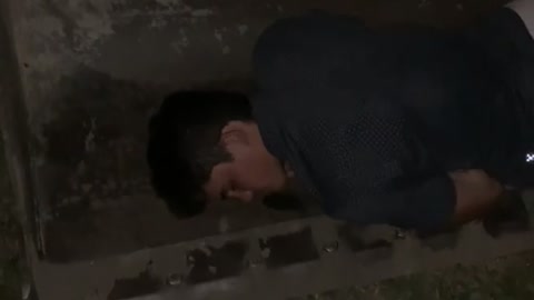 Buddy found sleeping in a bulldozer