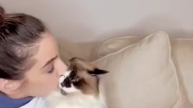 MY CAT HAS THE FUNNIEST REACTION WHEN I KISS HER