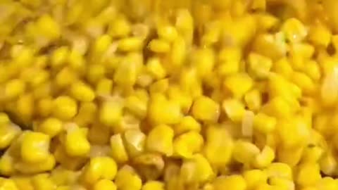 Corn noodles