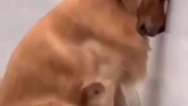 When he punished himself