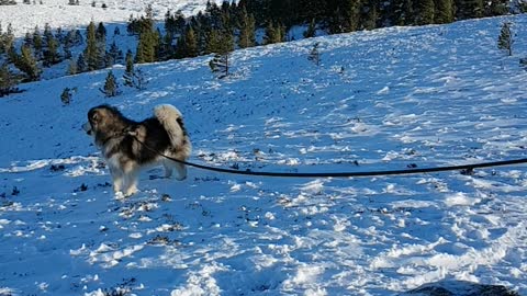 Snow Tornado on the Mountain