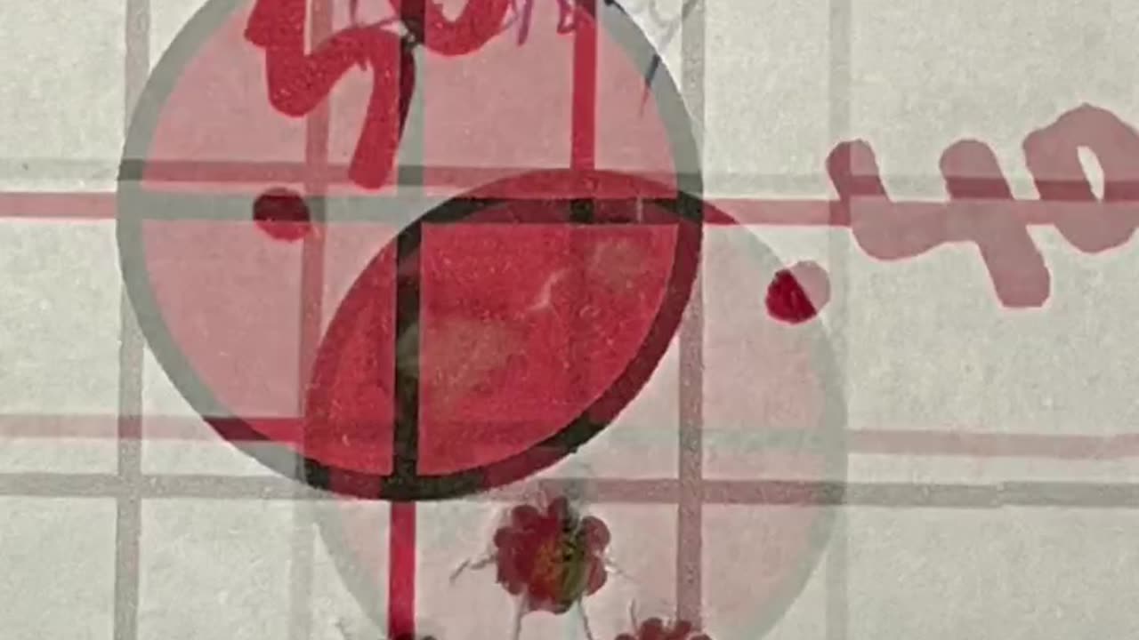 Savage .223 Rem - Carbon Predator - .5 MOA - Marksman’s Creed #hunting #country #Target