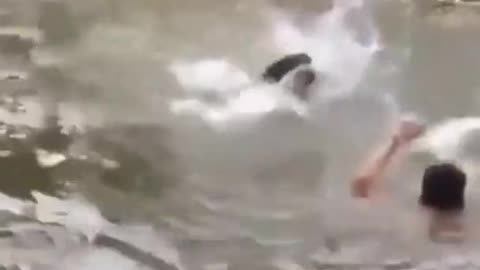 Dog saves his owner from drowning