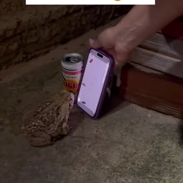 "Unleashing the Limitless: Unlocking the Infinite Fly Glitch"