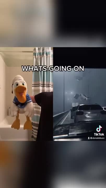 Donald Duck is shaking with fear #shorts