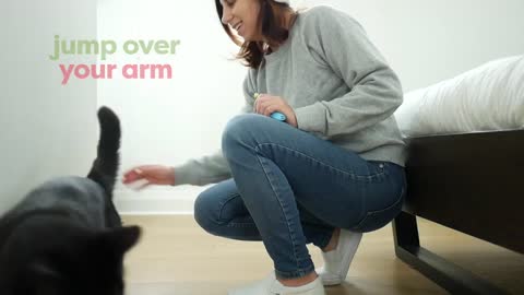 Cat training tricks