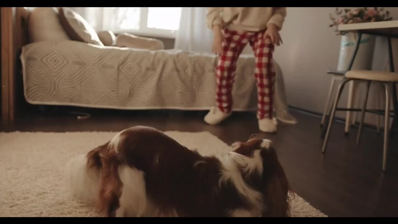 A young girl in a plays with her dog in the bedroom and pretends to chase him around the room