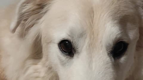 ❌❌attenzione❌❌