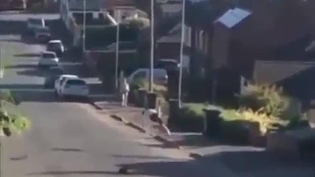 Try not to laugh