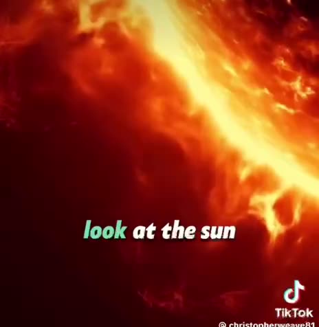 Programmed with Lies