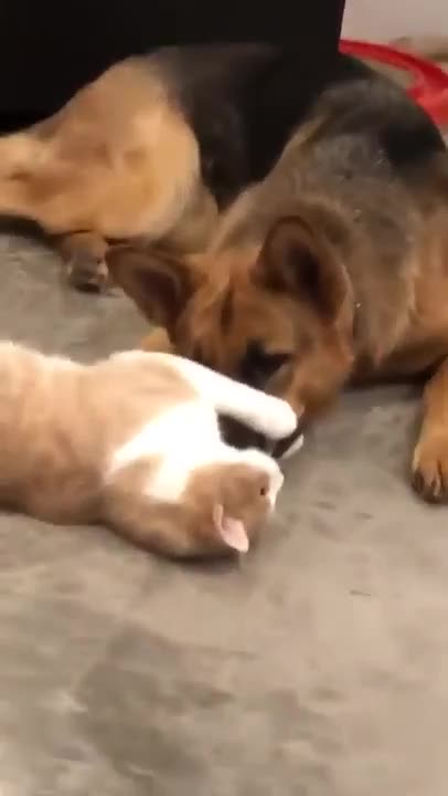 "You Gotta Be Kidding Me." 😁